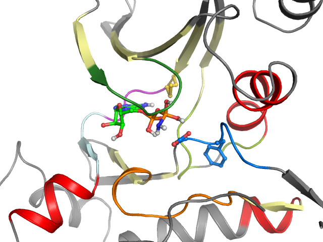 The orthosteric binding pocket