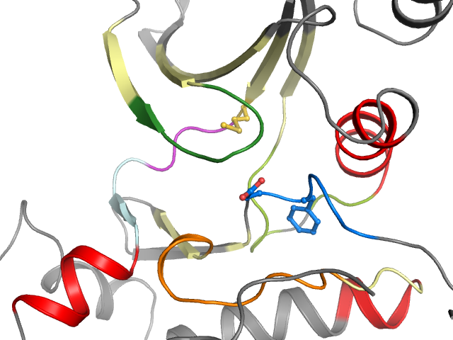 The orthosteric binding pocket