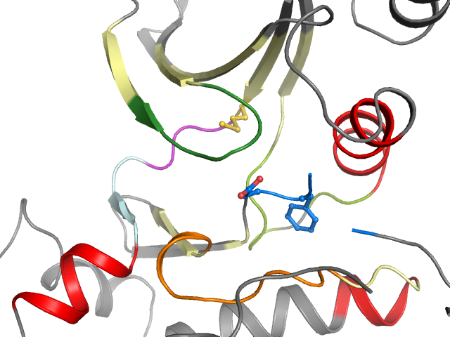 The orthosteric binding pocket