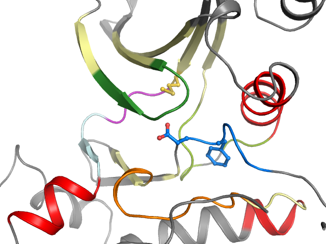 The orthosteric binding pocket