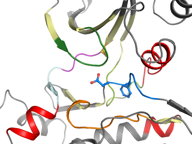 The orthosteric binding pocket