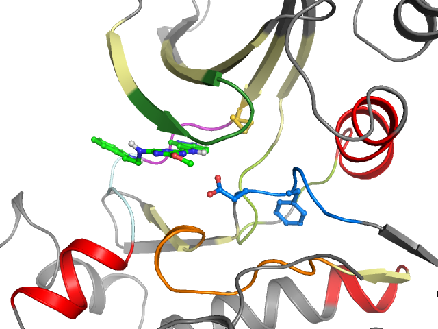 The orthosteric binding pocket