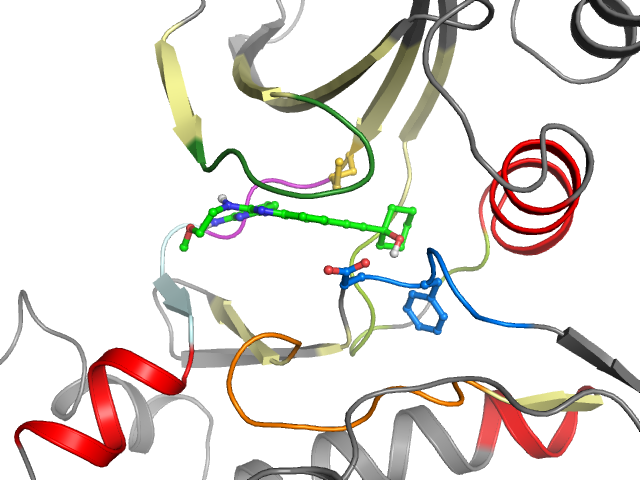 The orthosteric binding pocket