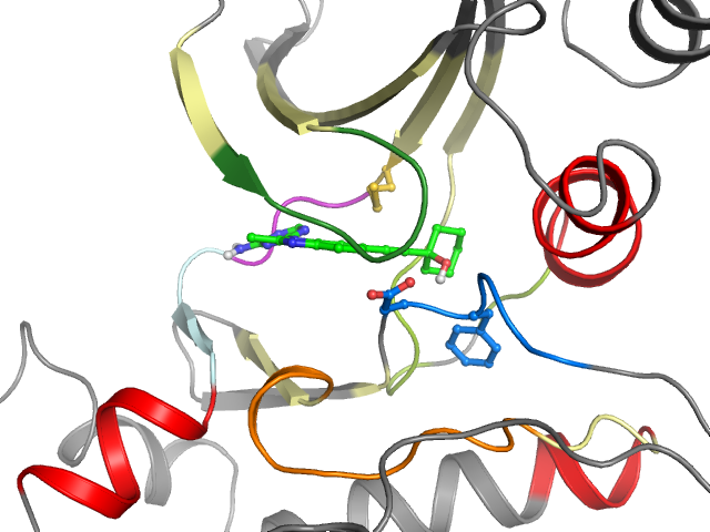 The orthosteric binding pocket