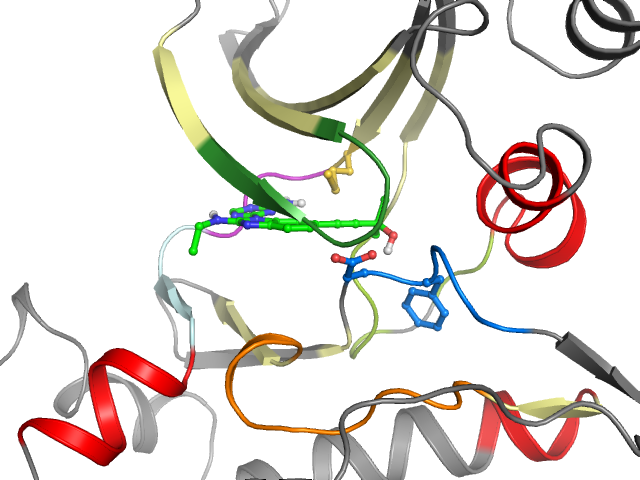 The orthosteric binding pocket