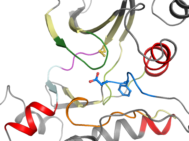 The orthosteric binding pocket