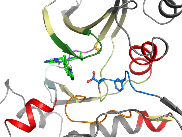 The orthosteric binding pocket