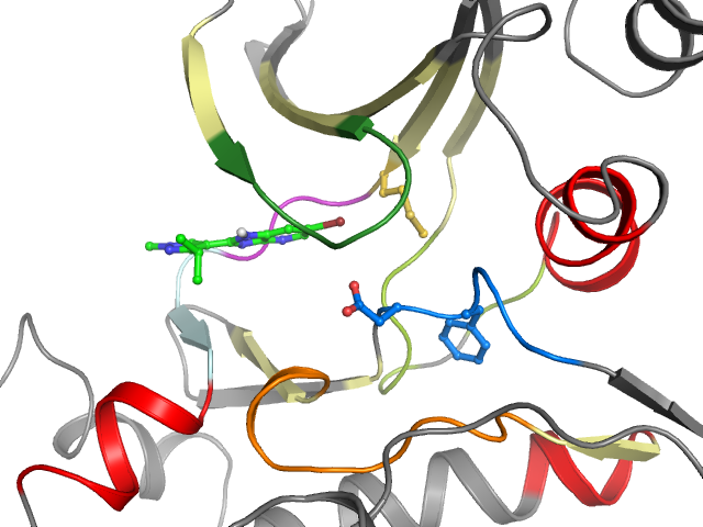 The orthosteric binding pocket