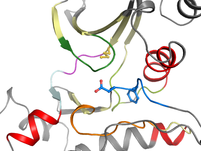 The orthosteric binding pocket