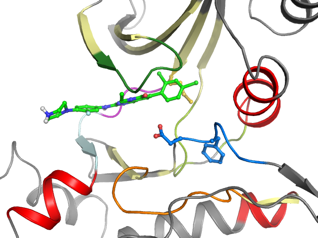 The orthosteric binding pocket