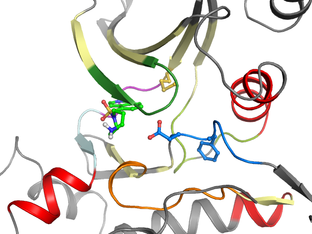 The orthosteric binding pocket