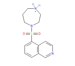 2D structure of the orthosteric ligand
