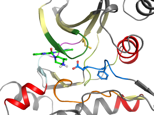 The orthosteric binding pocket