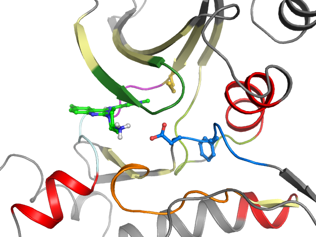 The orthosteric binding pocket