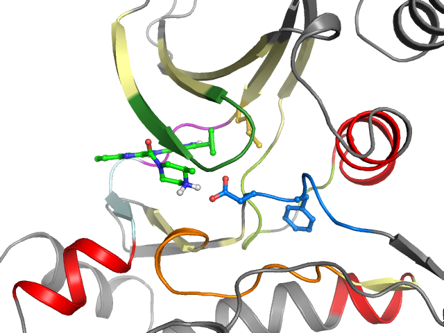The orthosteric binding pocket