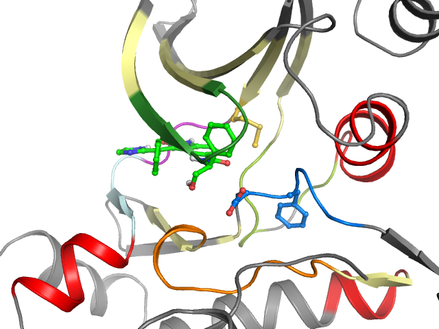 The orthosteric binding pocket
