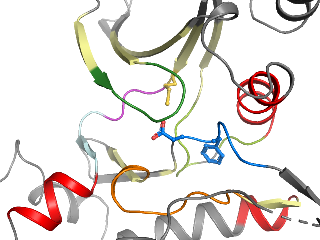 The orthosteric binding pocket