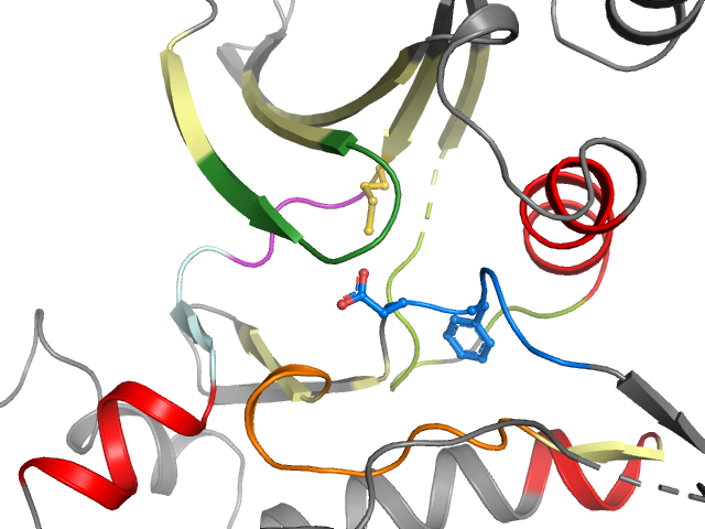The orthosteric binding pocket