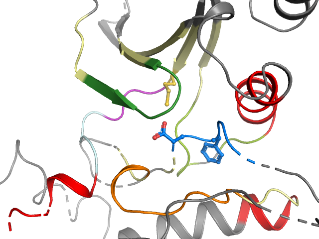 The orthosteric binding pocket