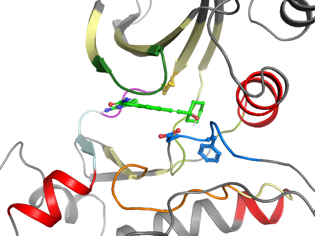 The orthosteric binding pocket
