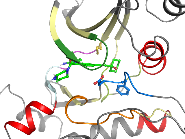 The orthosteric binding pocket