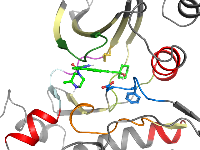 The orthosteric binding pocket