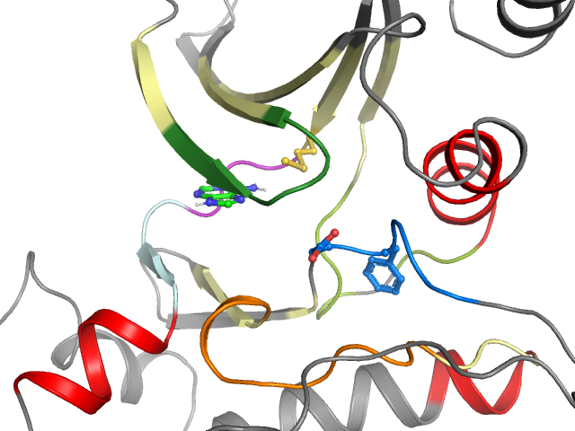 The orthosteric binding pocket