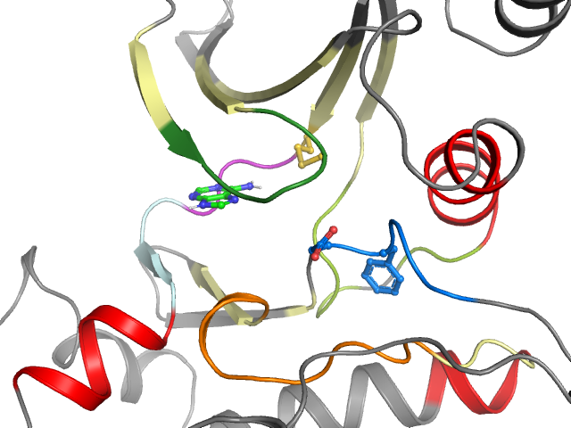 The orthosteric binding pocket