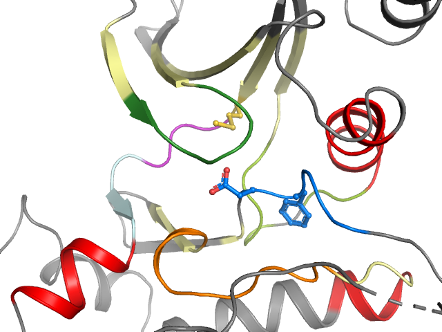 The orthosteric binding pocket