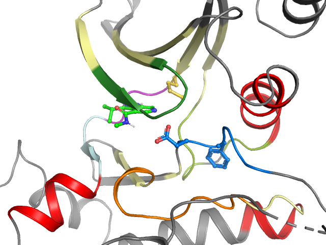The orthosteric binding pocket