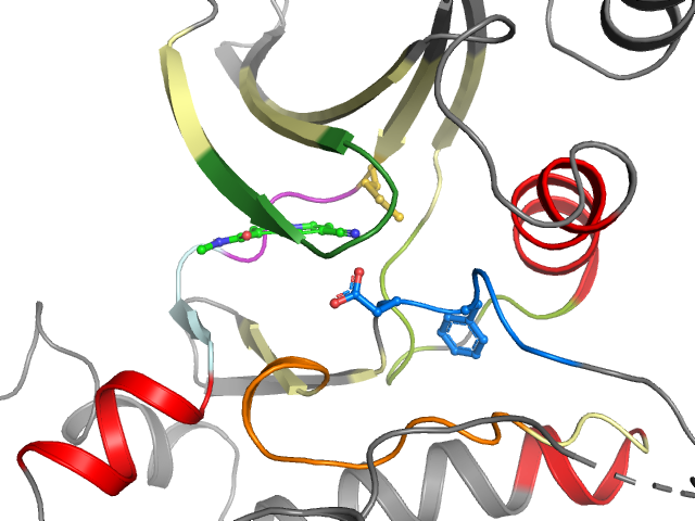 The orthosteric binding pocket