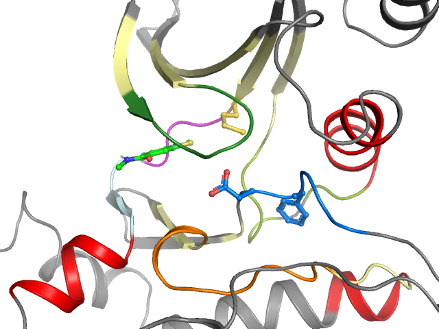 The orthosteric binding pocket