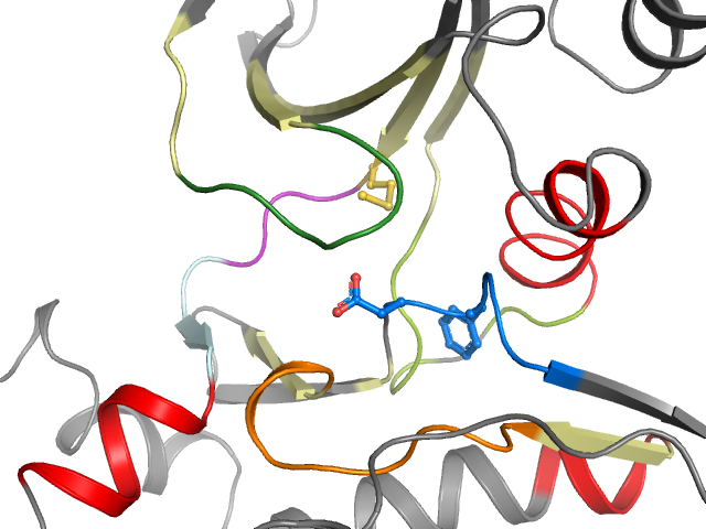 The orthosteric binding pocket
