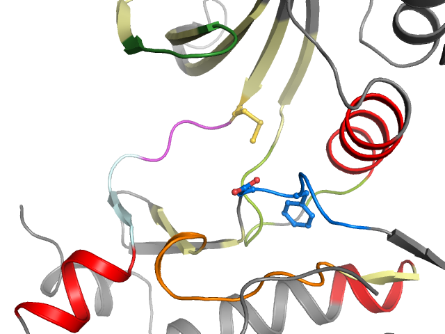 The orthosteric binding pocket