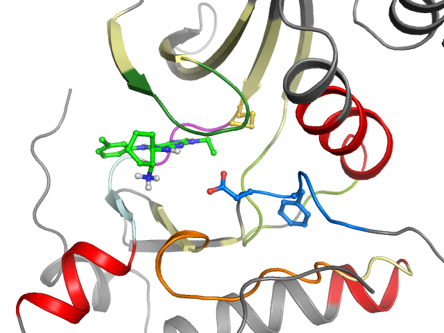 The orthosteric binding pocket