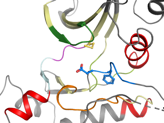 The orthosteric binding pocket