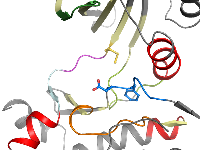 The orthosteric binding pocket