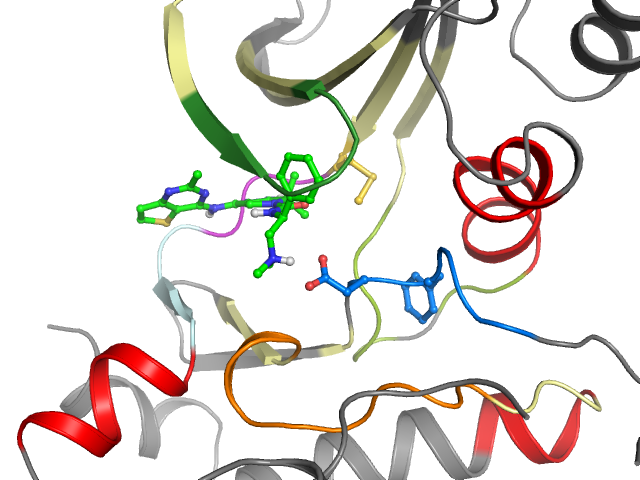 The orthosteric binding pocket