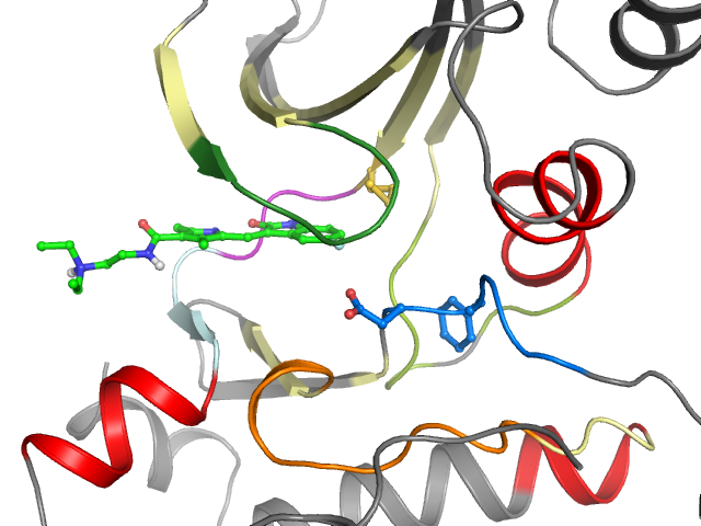 The orthosteric binding pocket