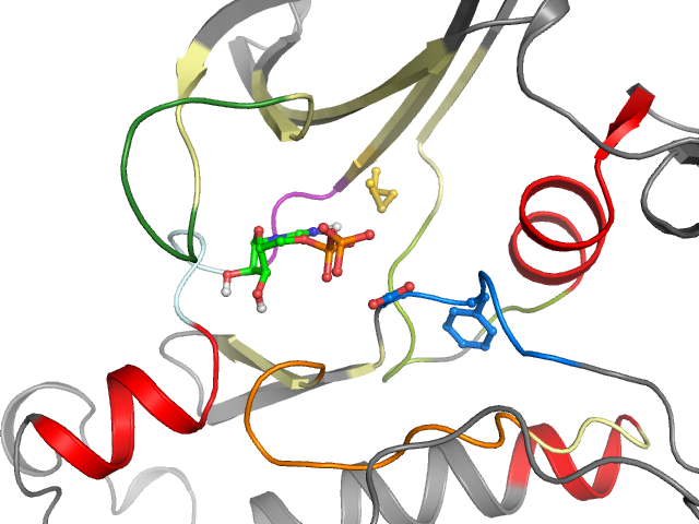 The orthosteric binding pocket