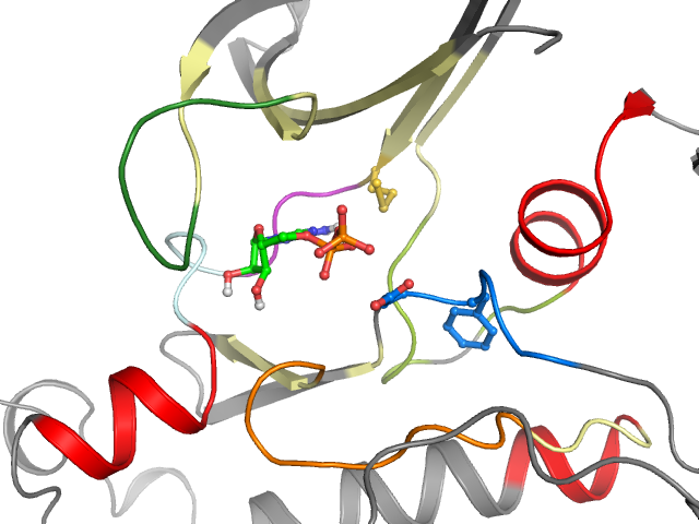 The orthosteric binding pocket