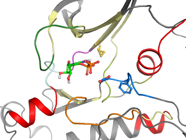 The orthosteric binding pocket
