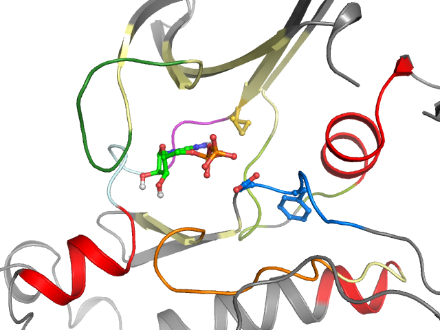 The orthosteric binding pocket