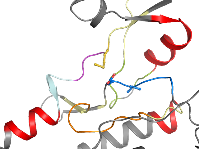 The orthosteric binding pocket