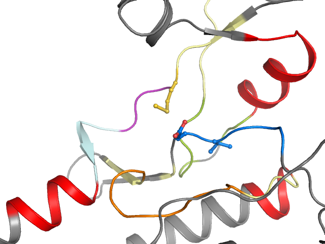 The orthosteric binding pocket