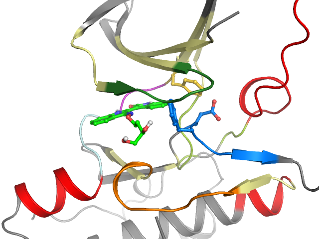 The orthosteric binding pocket