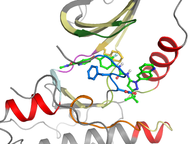 The orthosteric binding pocket