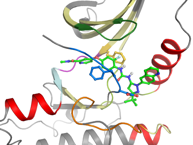 The orthosteric binding pocket