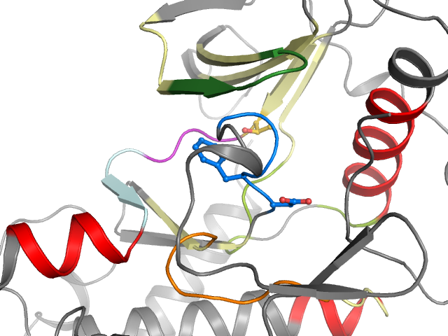 The orthosteric binding pocket