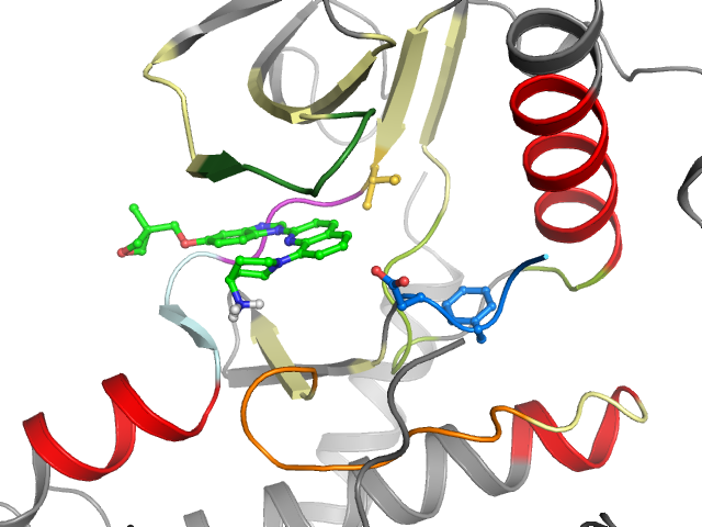 The orthosteric binding pocket